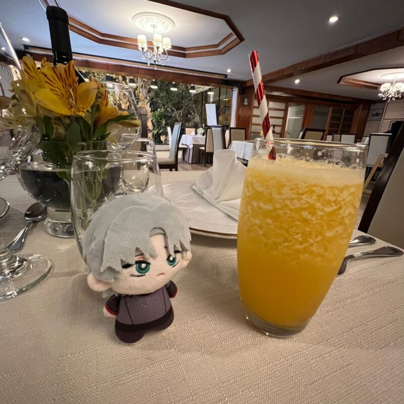 Peluche Round 6 Till – Alien Stage